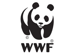 WWF